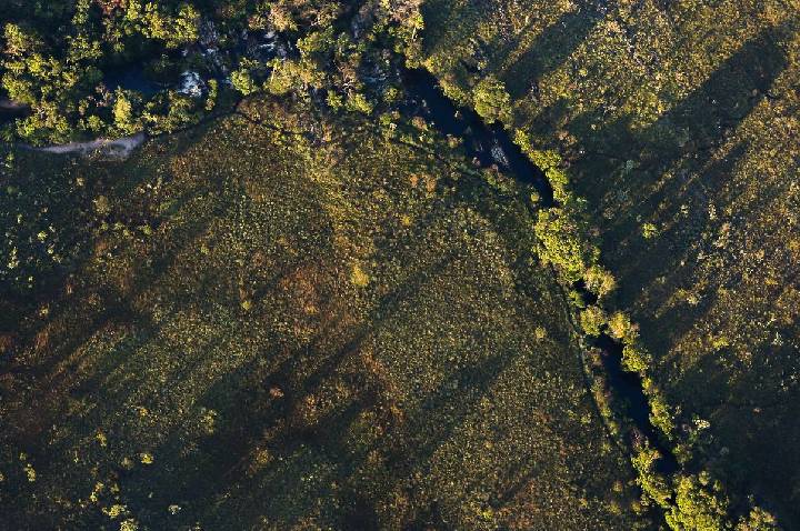Financiamentos de projetos rurais sustentáveis terão juros mais baixos
