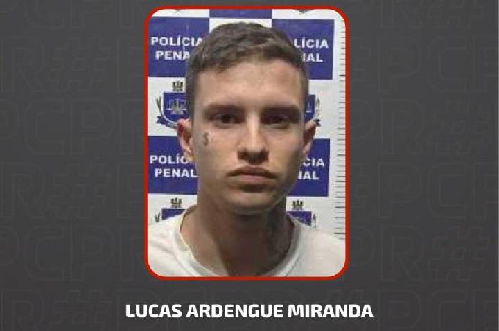 Galeria de Imagem