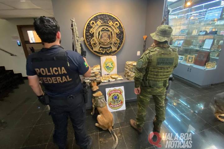 PF e BPFRON apreendem 33 kg de maconha em ônibus e prendem passageira em Guaíra
