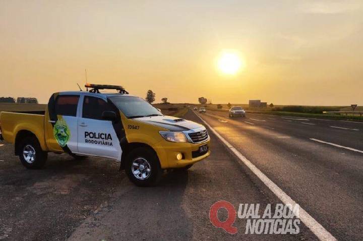 Polícia apreende carga milionária de medicamentos contrabandeados em ônibus na BR-369, no Oeste do estado