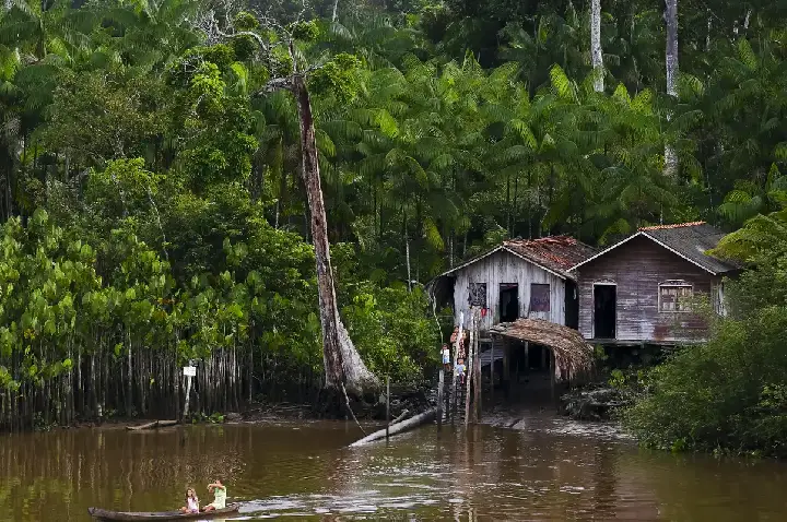 Projeto leva tratamento gratuito a doenças negligenciadas no Amazonas