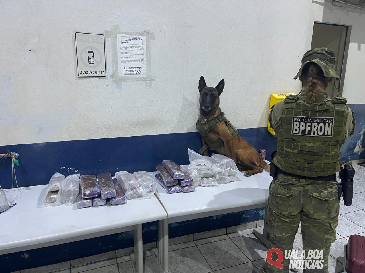 BPFRON apreende 20,3 kg de substância análoga à maconha em ônibus em Cascavel-PR