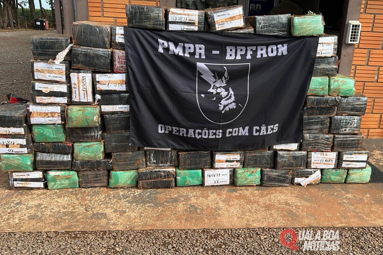 Com apoio de cão, PM apreende 1,5 tonelada de maconha em Santa Helena
