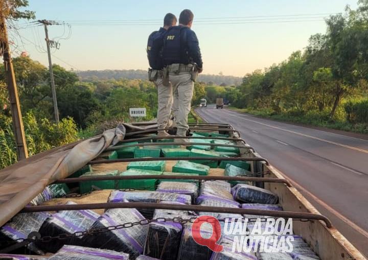 PRF apreende 2,5 toneladas de maconha em Mercedes