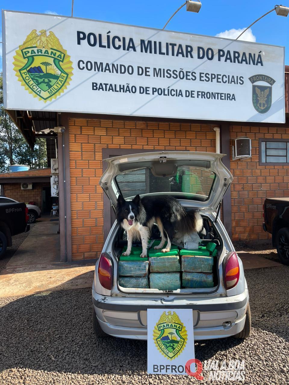 BPFRON apreende 192 kg de substância análoga à maconha em Marechal Cândido Rondon-PR