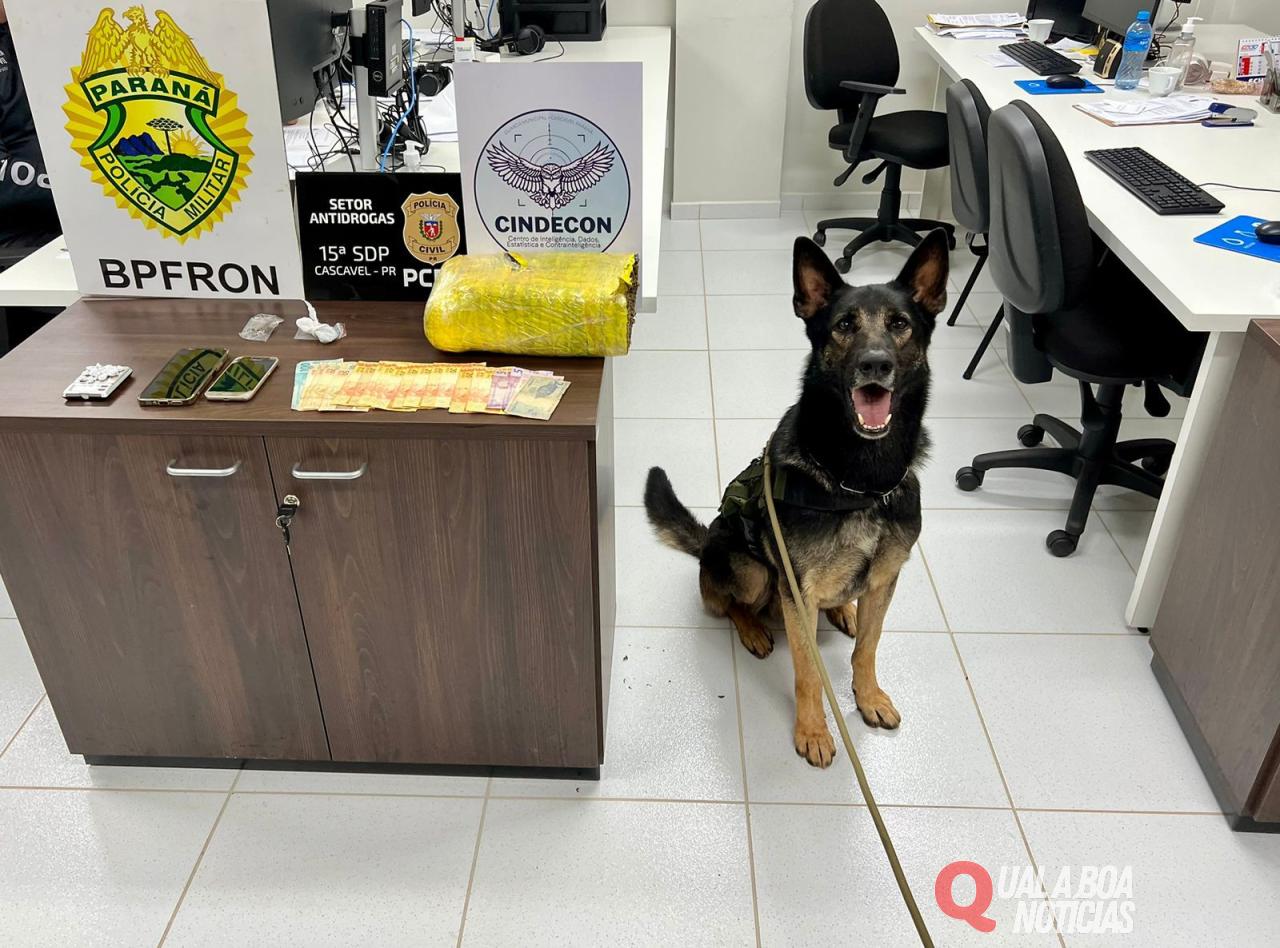 BPFRON, PC e Guarda Municipal cumprem mandado de busca e apreendem drogas em Cascavel-PR