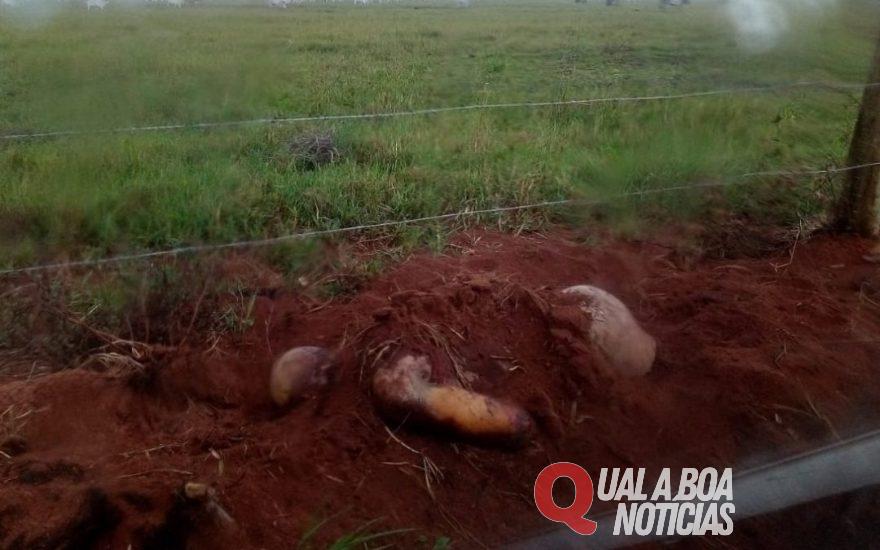 Corpo de adolescente é encontrado quase decapitado e parcialmente enterrado