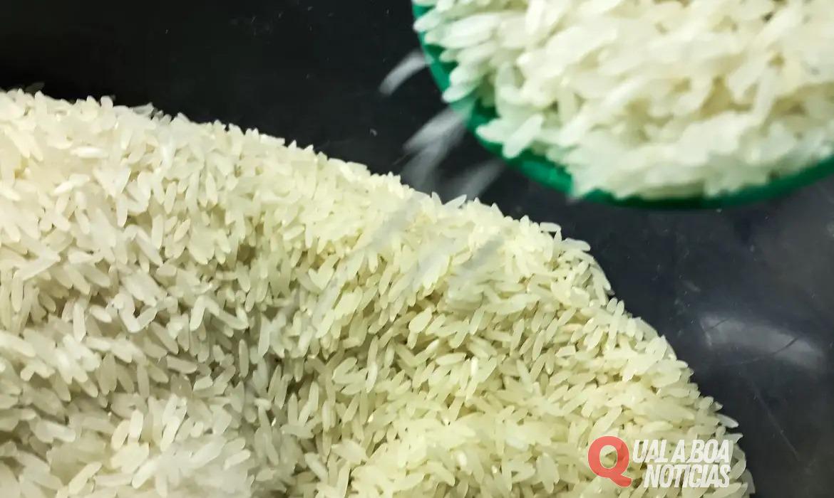 Polícia Federal abre investigação sobre leilão de arroz