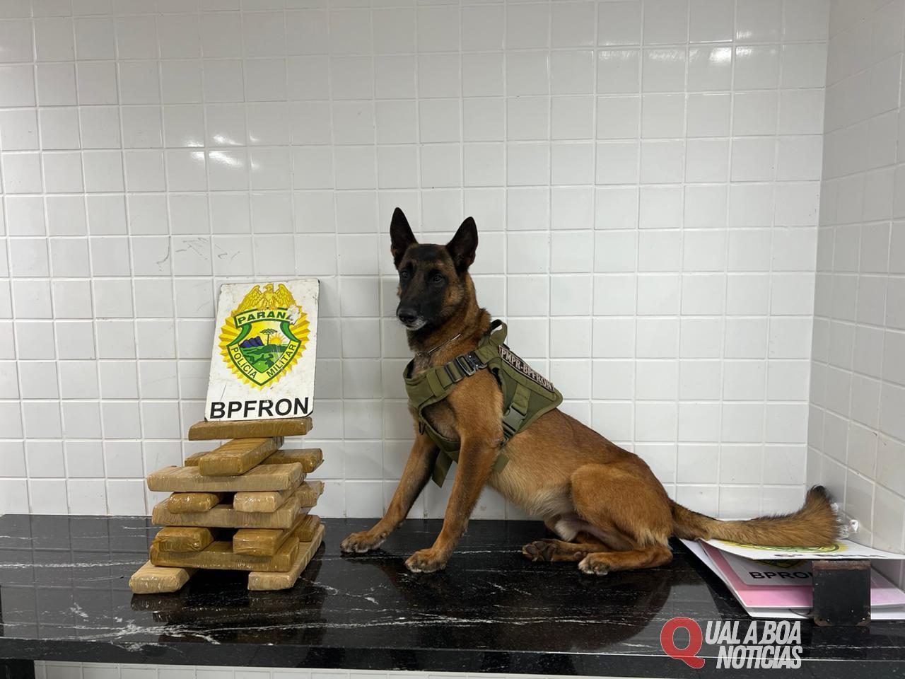 BPFRON prende homem com 10 kg de maconha e 75 pacotes de cigarro na BR 277