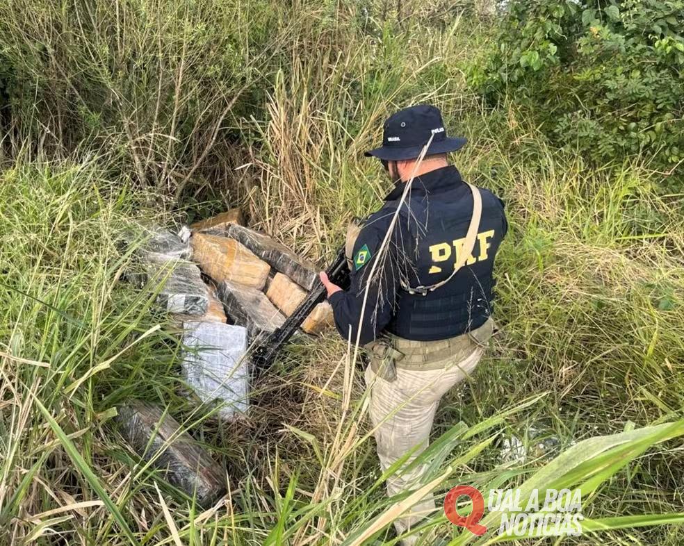 Em Santa Catarina: Meia tonelada de maconha é encontrada em área de mata; Os fardos tinham manchas de sangue, diz PRF