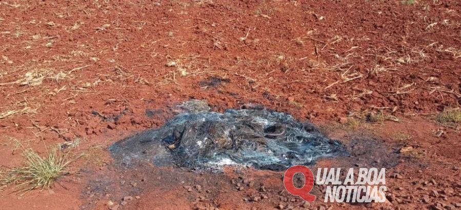 Em Santa Terezinha de Itaipu: Corpo é encontrado em área rural, carbonizado em meio a pneus