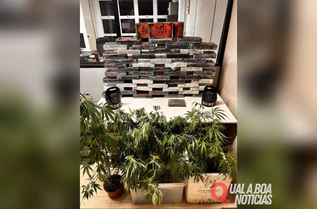 Gaeco investiga se policia do paraná está desviando drogas apreendidas