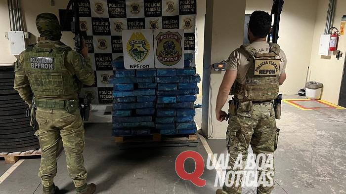 Mais de uma tonelada de maconha é localizada abandonada em mata de Guaíra