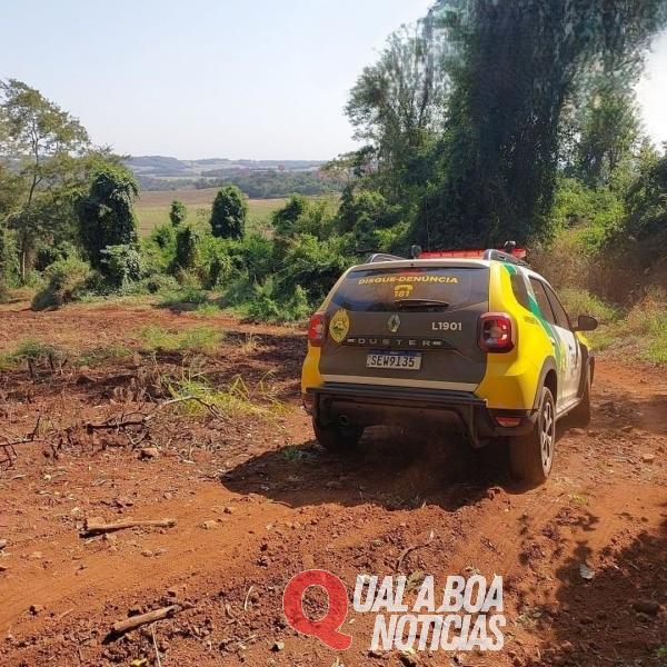 Proprietário rural é autuado por desmatamento ilegal, na Região