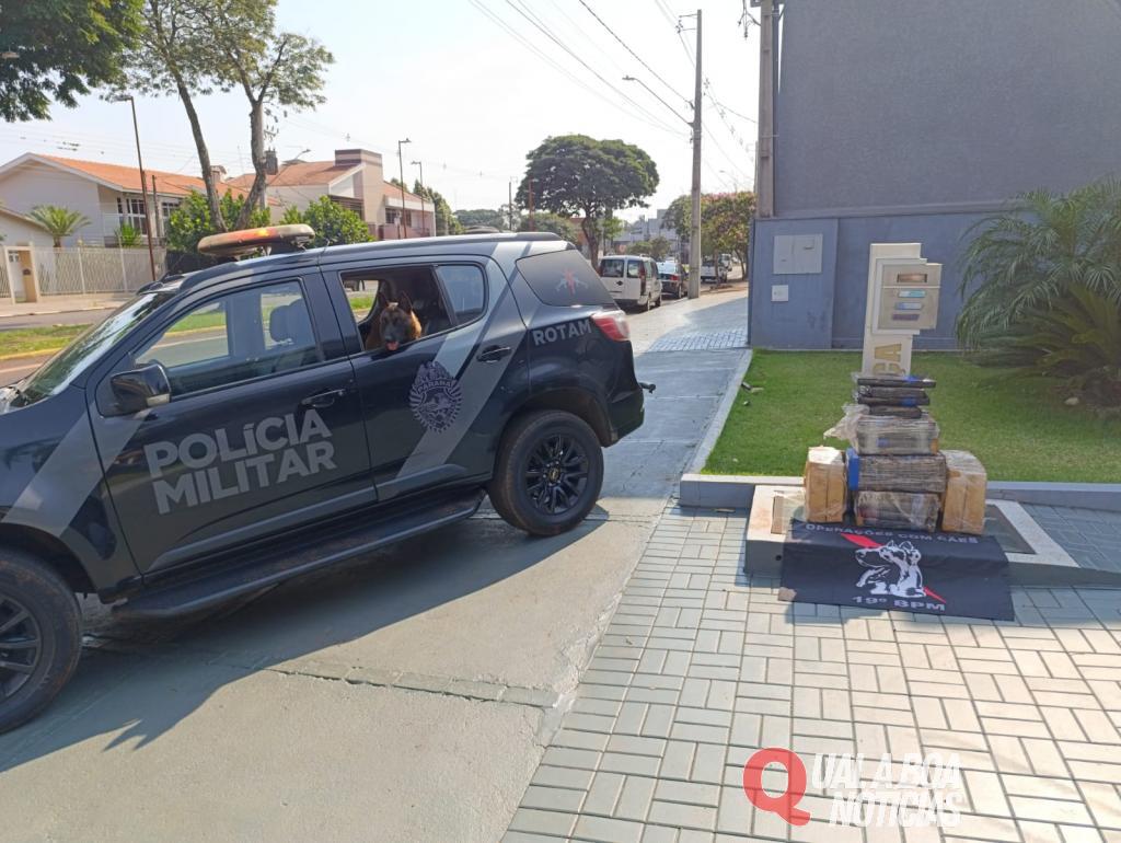 Tabletes de maconha são encontrados abandonados em lavoura de milho recém colhida na BR-467, em Toledo