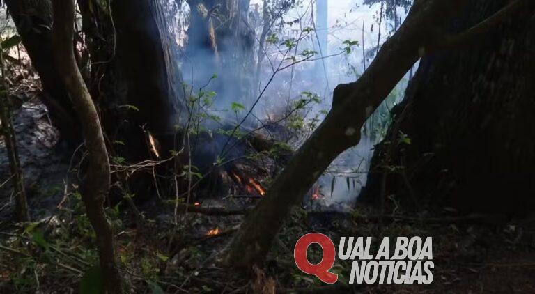 Corpo de idoso é encontrado carbonizado em incêndio ambiental no Paraná