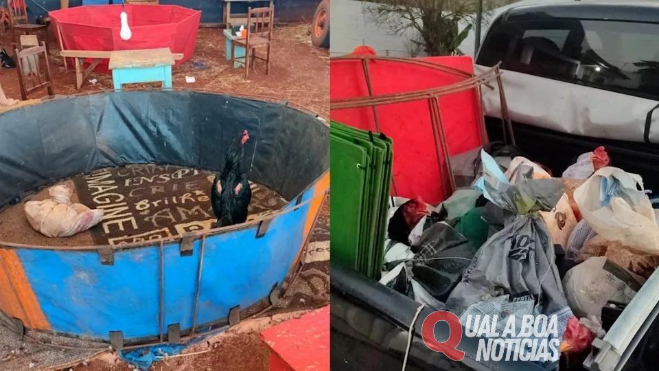 Nove pessoas são contidas em rinha com 32 galos em fazenda do Paraná