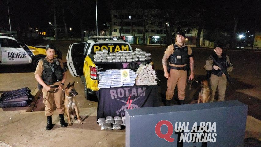 Operação com cães: Cinco pessoas são detidas e grande quantidade de maconha é apreendida na rodoviária de Cascavel