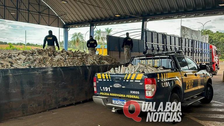 Já são 203 toneladas: PRF ultrapassa recorde histórico de apreensão de drogas no Paraná