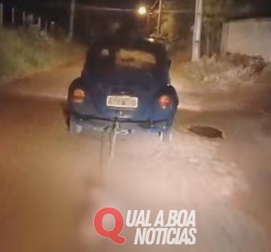 Motorista é preso após amarrar cachorro a carro e arrastá-lo pela rua, no Paraná