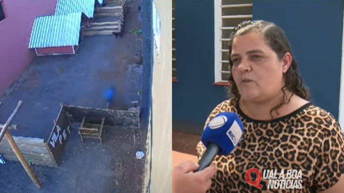 “Nunca foi agressivo”, diz diretora sobre criança que matou 23 animais no PR