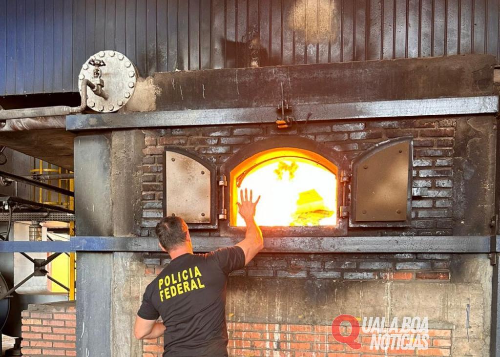 PF realiza mais uma incineração de drogas e volume em 2024 ultrapassa 50 toneladas