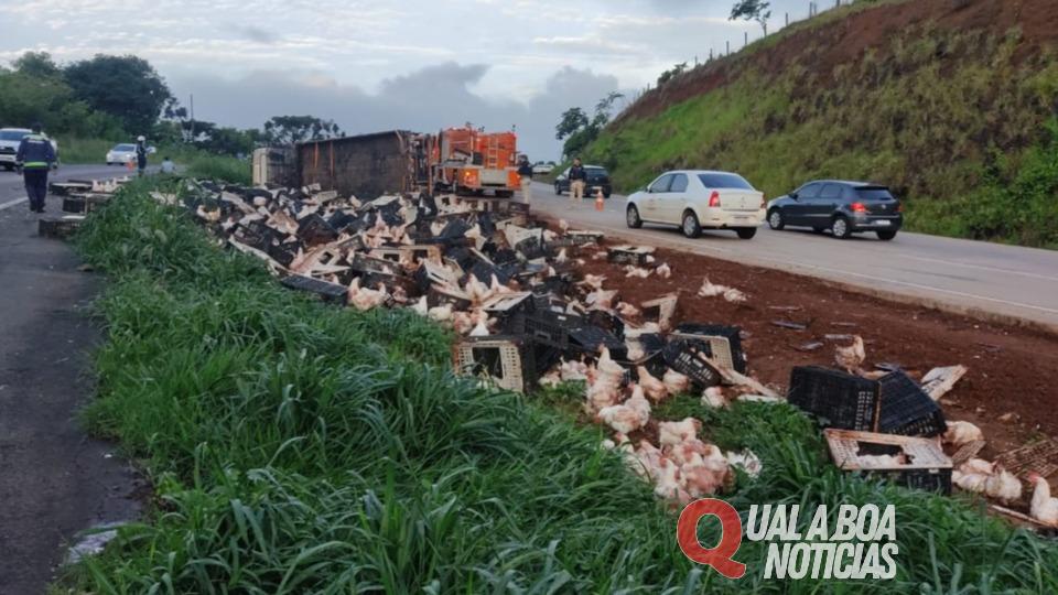 Caminhão tomba na BR-163 e deixa carga de galinhas espalhadas próximo a Lindoeste