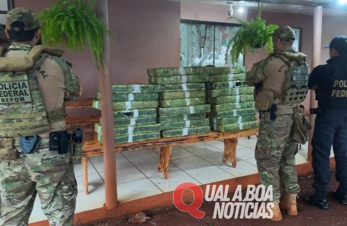 Operação  Cannabis Express: PF investiga rota de tráfico entre Paraná e São Paulo e cumpre mandados na região oeste