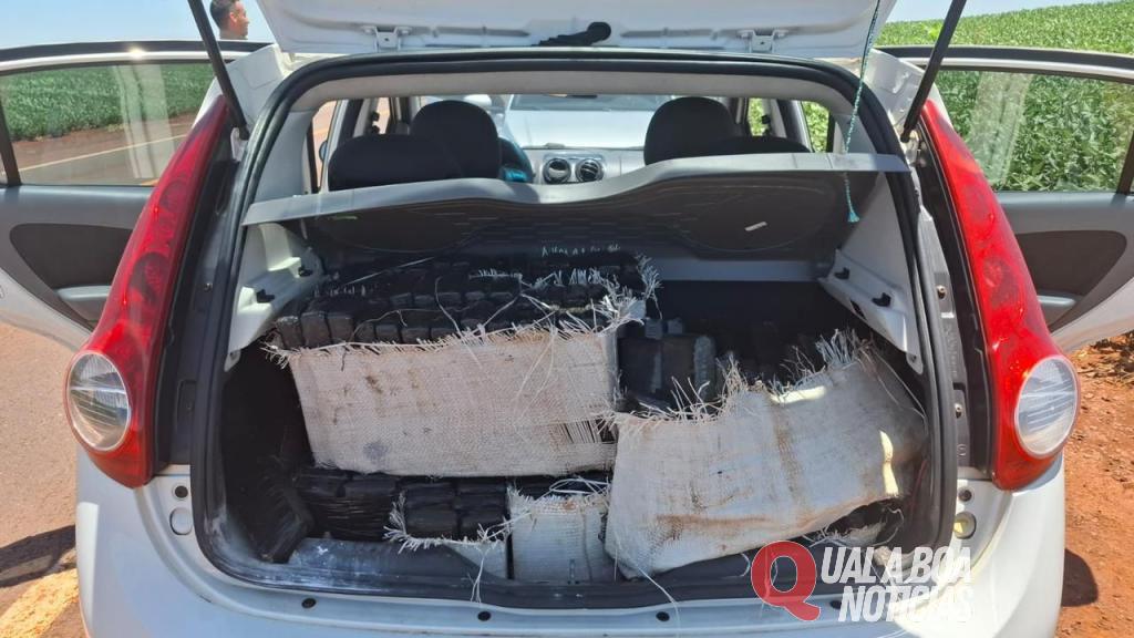 Polícia Militar apreende 250 kg de maconha em abordagem a veículo, na Região