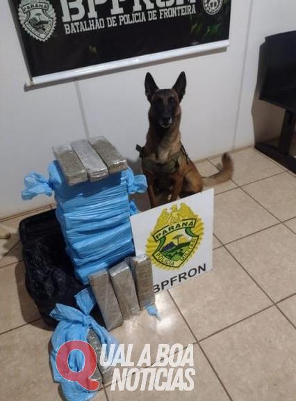 Com o auxílio de cão farejador trio é detido transportando maconha, em Quatro Pontes