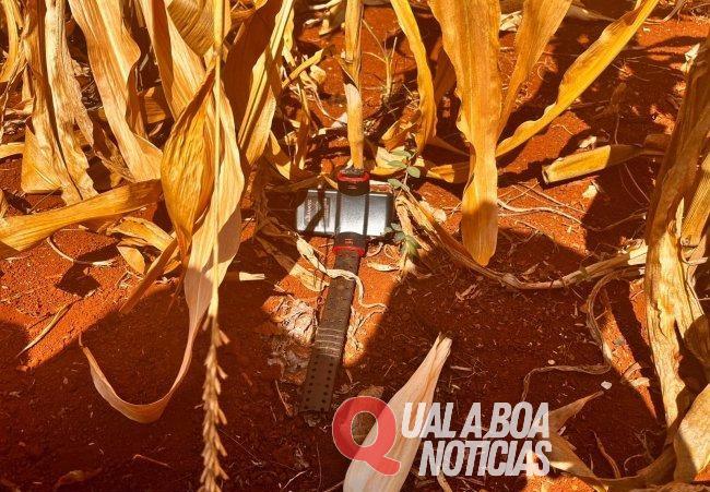 Em Santa Helena: Tornozeleira eletrônica rompida é encontrada em lote baldio