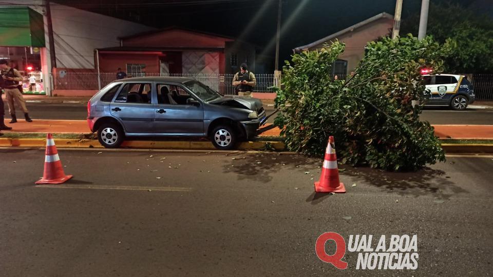 Embriaguez ao volante: Homem derruba árvore em Toledo e é preso pela PM