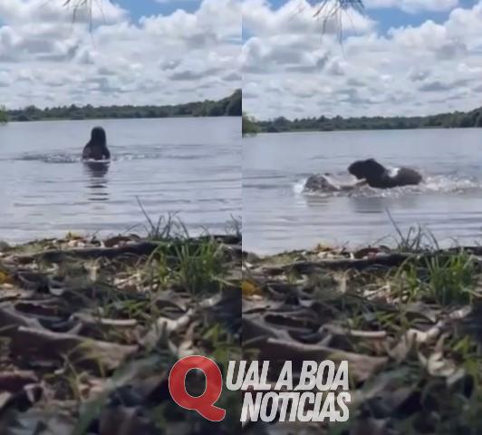 Viral: Adolescente é atacada por capivara em lago enquanto fazia vídeo para o Tik Tok