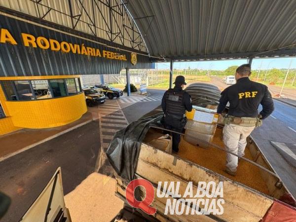 5 mil cigarros eletrônicos e 500 smartphones são apreendidos pela PRF, em Guaíra