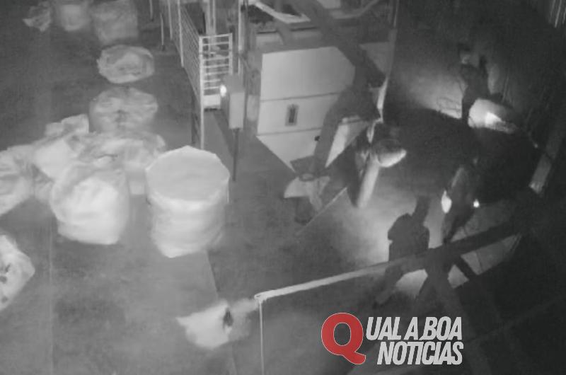 Grupo de criminosos furtam empresa agrícola, em Mercedes