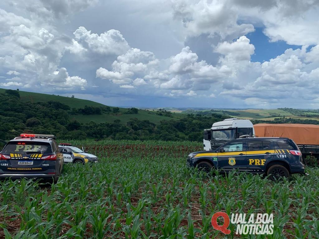 PRF e apreende carga milionária de cigarros contrabandeados em Corbélia