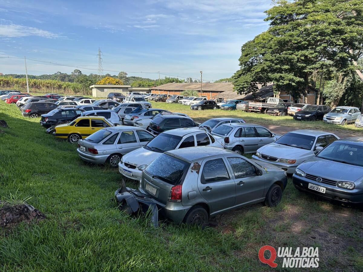 Guarda Municipal de Toledo realiza entrega de veículos arrematados em leilão