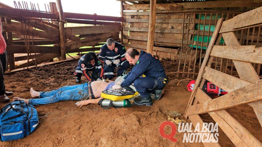 No Paraná: Homem é entubado e transportado e fica em estado grave após ataque de marimbondos