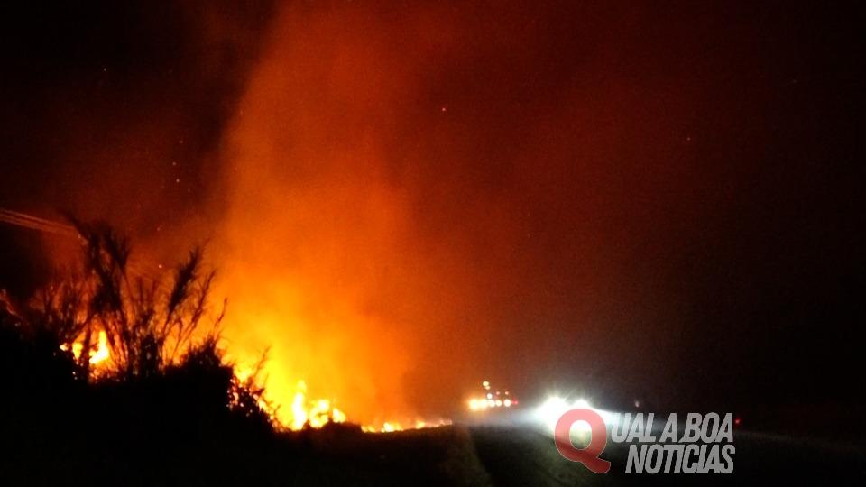 Urgente: Incêndio atinge área de mata às margens da PR-486 em Cascavel