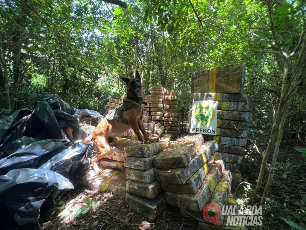 Operações do BPFRON em Santa Helena apreendem mais de cinco toneladas de maconha em um único dia