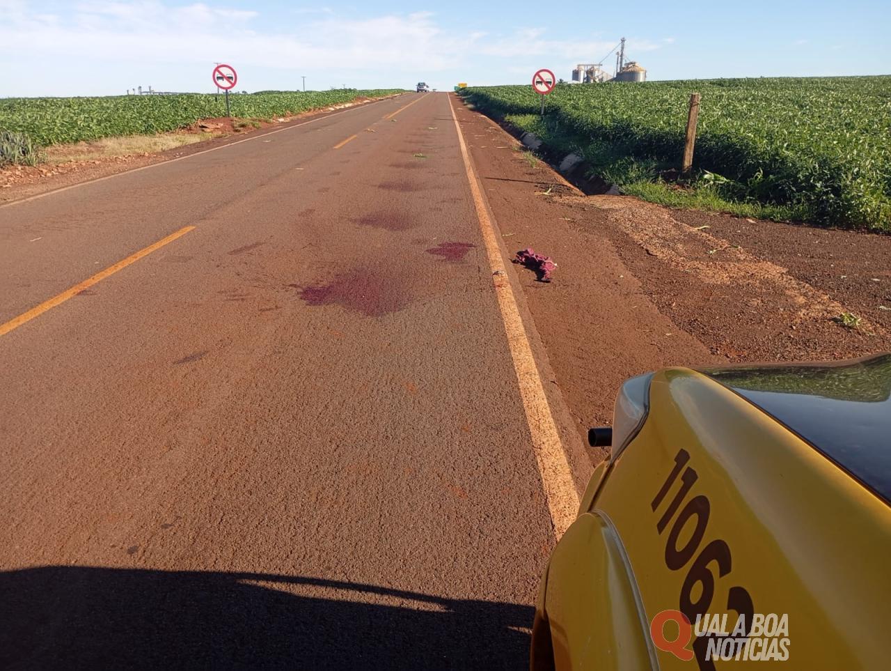 Pedestre é atropelado na PR-180 e motorista foge sem prestar socorro em Nova Aurora