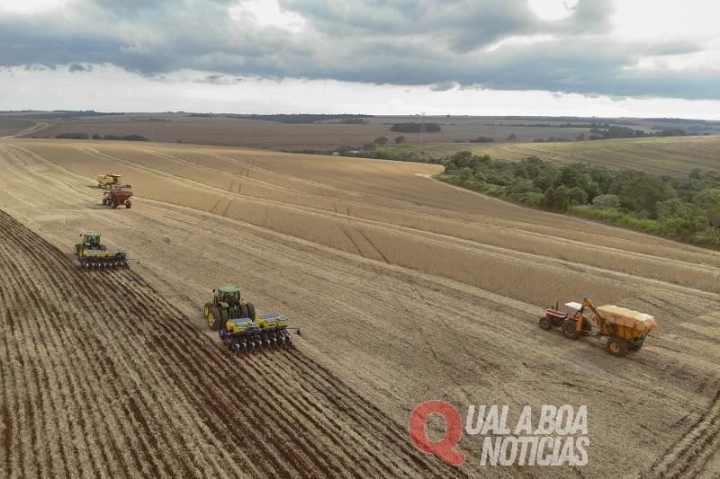 Paraná lidera exportação de frango e projeta safra recorde de soja com 22 milhões de toneladas