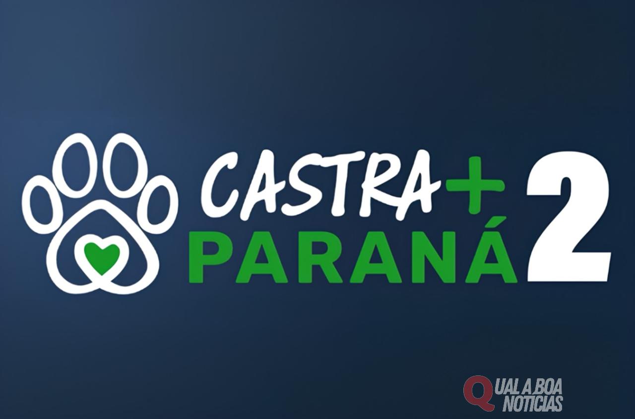 Toledo garante 720 castrações gratuitas para cães e gatos com programa estadual