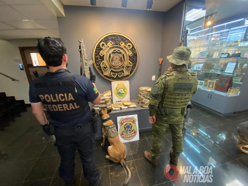 PF e BPFRON apreendem 33 kg de maconha em ônibus e prendem passageira em Guaíra