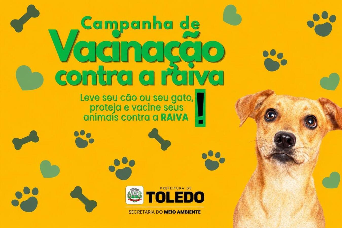 Vacinação contra a raiva: Toledo disponibiliza 500 doses gratuitas no Parque Diva Paim Barth neste dia 15