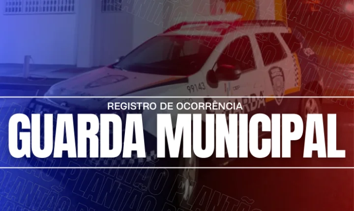 Guarda Municipal recolhe munições de calibre .380 encontradas em quintal de residência no bairro São Francisco