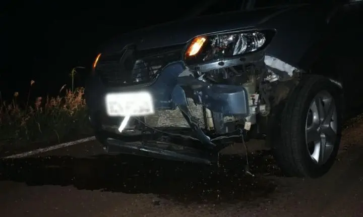 Ladrões encapuzados furtam cerca de 25 porcos em Vila Ipiranga e perdem animais durante a fuga em Toledo